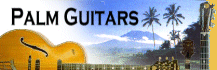 Palm Guitars